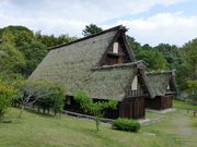 kon-chan̓{ƏWق̓eʐ^1