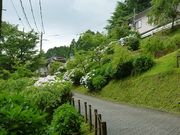 ߋT|~̑{R@R̓eʐ^4