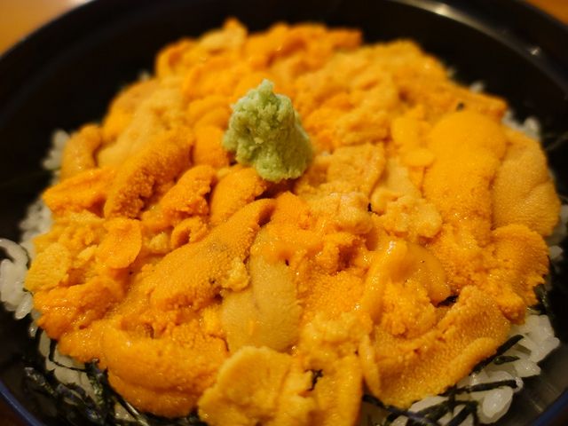 �G�]�o�t���E�j�̂��ɘ�_�當��