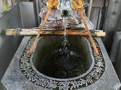 シトラさんの真清田神社（愛知県一宮市）の投稿写真3