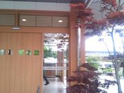 ߋT|~̓V̓̓eʐ^3