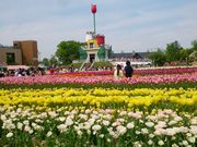 kakkõ`[bv̂Ԕ̓eʐ^1