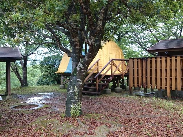 mamekan̉ԐI[gLv̓eʐ^1