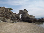 vmisf̐VẩYόVH̓eʐ^1