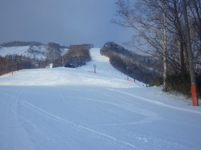 �݂��؂���_�J�����X����T�����C�o�X�L�[��