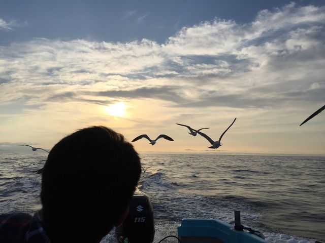 �J�����̃G�T��肪�I���J�����ɒǂ��Ă���Ƃ���
���킢���J�����̎p���ԋ߂Ō���Ċ����ł�_���M�̓��A�N���[�Y