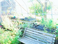 ݂ꂳ̊ςāEHׂāĚāA܊Ŋy߂\㗢n[uK[fւ̓eʐ^1