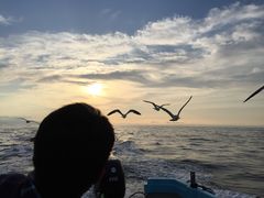 Ȃ̏M̓AN[Yւ̓eʐ^2