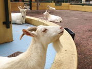 ponkañqmggZOO(Hs)̓eʐ^3