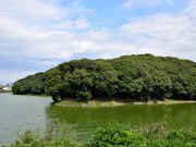 䂸҂̒Vcˁy~TUCÕz̓eʐ^1