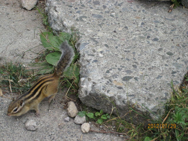 �����ɂ�_���x�y�A���t�g