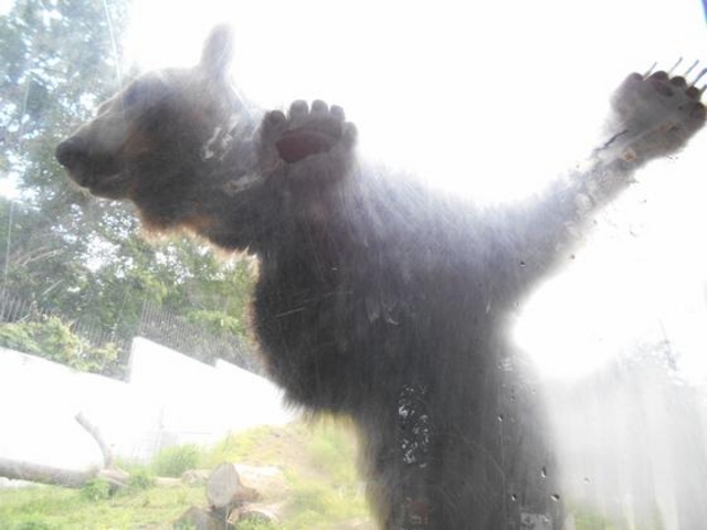 ���͖��_�I_�~�R������