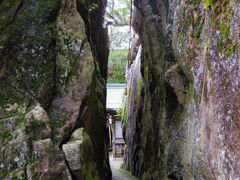 ���Y�V�{�̎ʐ^1