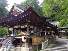 �����X�����{�̎ʐ^1