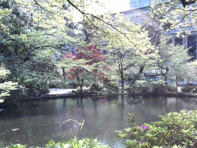 �r���͂ޗV�����Ȃǂ�����A�ꑧ���̂ɂ��傤�ǂ悩�����ł��B_�����J����