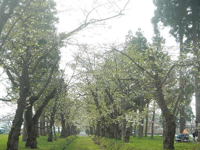 ���w��j�Տ��O�ˌːؒn�w����