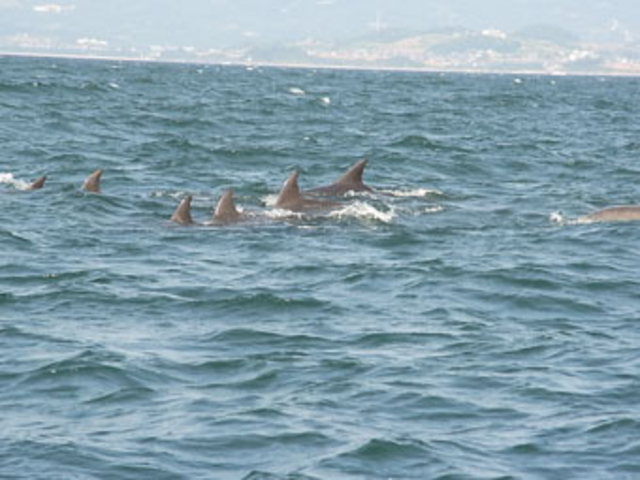 �����C���J_�C���J�E�H�b�`���O�i���̉w �V���s�C���J�Z���^�[�j