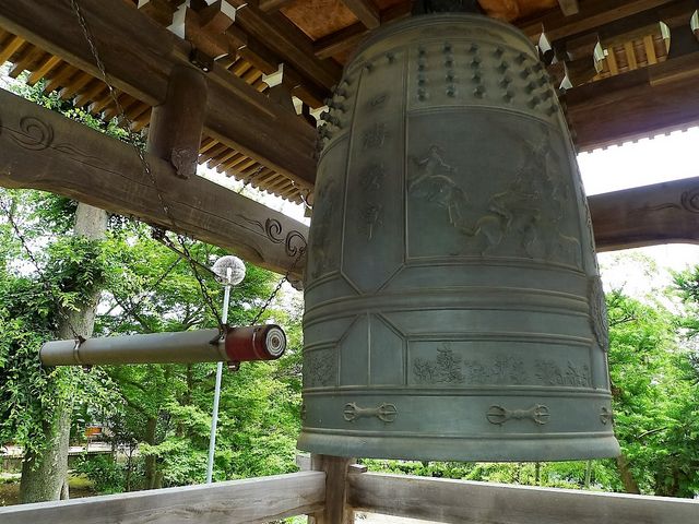 �g�N�T������̉������̓��e�ʐ^7