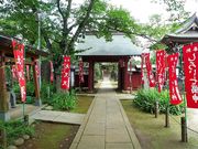 �g�N�T������̉������̓��e�ʐ^1