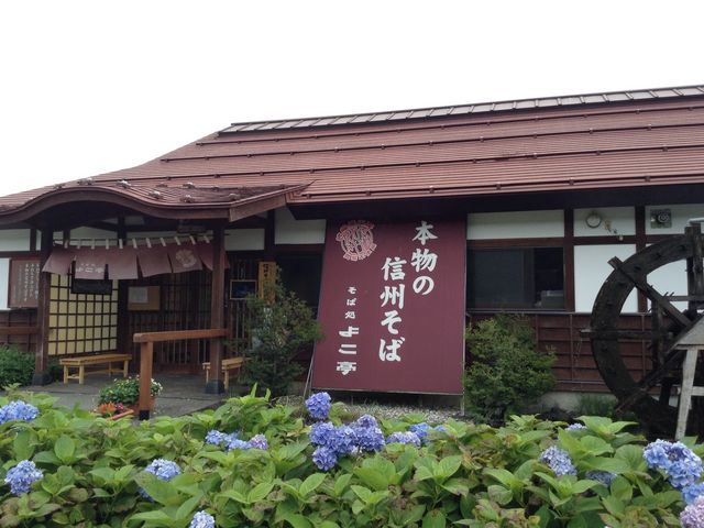 ���X�̊O�ρi���z�Ԃ��Y��ɍ炢�Ă��܂����j_�n��Y�H�[  ���Ώ��@�悱��