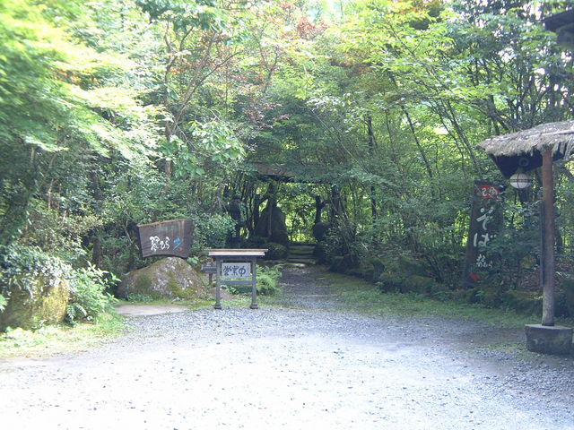 Ԃ񂳂̋ՂЂ牷ߎR̓eʐ^1