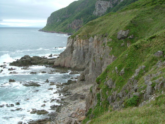 ���Җ����璭�߂�i�F_���Җ�