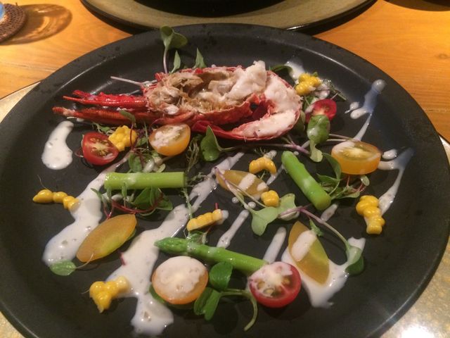 ��˗���
�T���__�{�V�鉷��