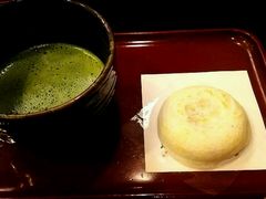 �h���S��48����̔~���}�݂ւ̓��e�ʐ^1