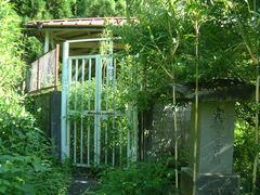 �Ԃ���񂳂�̌��ω��Õ��ւ̓��e�ʐ^1