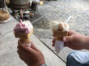 ߂ڂڂ̃WF[gVbv@z̓eʐ^1