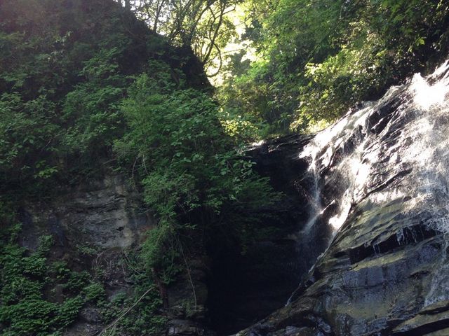 ���A�͂Ђ���_�{�V�k�J