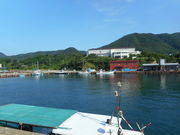 ɂ񂳂̍hɁ@鑃̓eʐ^4