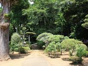 �g�N�T������̏�莛�i�z�ܑ��j�̓��e�ʐ^3