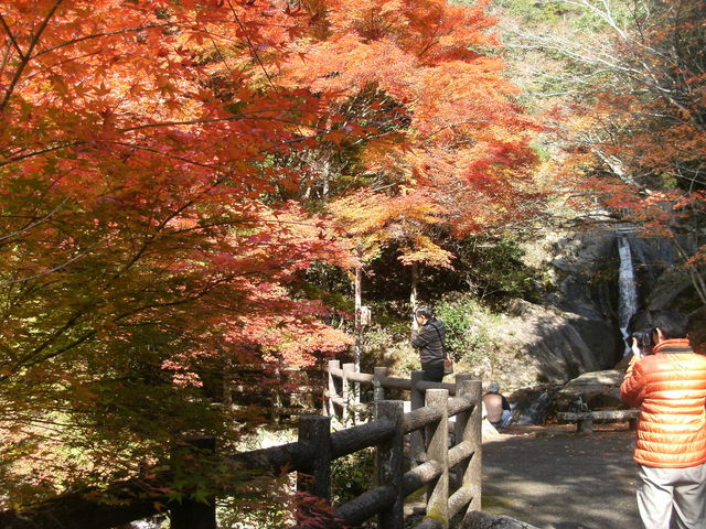 紅葉と滝の名所_三郎の滝