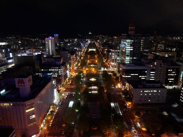 �����ۂ�e���r������̒��]_�����ۂ�e���r��