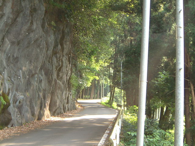 Ԃ񂳂̓cҁicXj̓eʐ^1