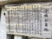 Sakamoto119̏揊yؐsz̓eʐ^15