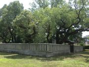 Sakamoto119̏揊yؐsz̓eʐ^5