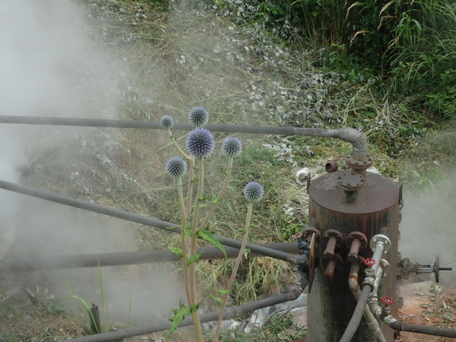 ̏CƃqS^C_킢 ͂̓E̓ER쉷