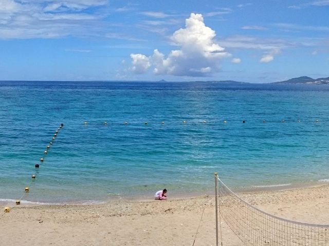 �V�C���ǂ����ꂢ�ȊC�ł���_�I�[�V�����N���t�g�E�f�B�[�V�F���^�[