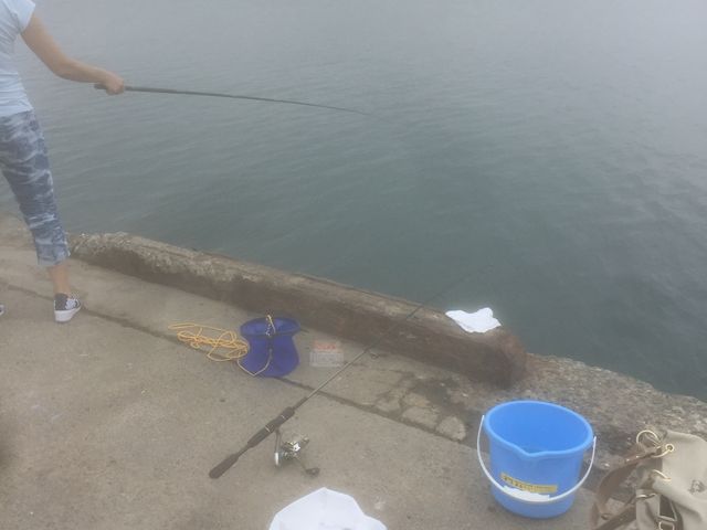 �������[��_�C�ނ�̌��������^���ފƁy�܂�ւ��V�ё��z�b��t�F�C�ӂ̏����Ȃ��h �܂�ւ����h