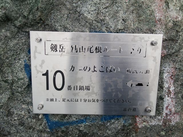 10�Ԗڍ���F�J�j�̂悱�΂�_���x