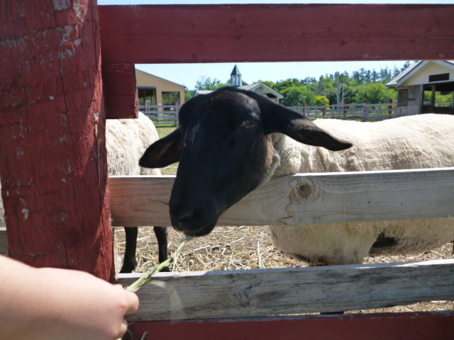 �r_�t�@�[���Y���c