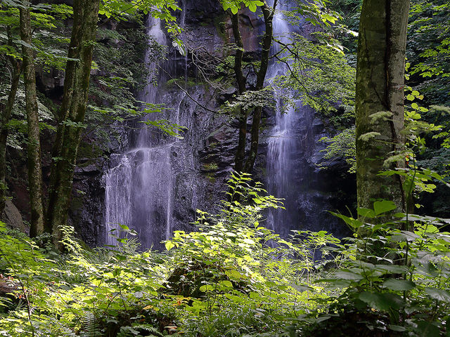 ��a�c��́u�F��̑�v_���򉷐�