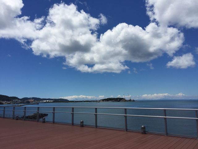 W]fbL̒߂łB_݂ȂƃIAVXg̉whĂ