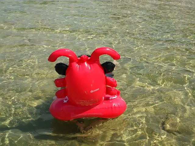 C̓xLCB󂢂̂ŎqǂSėVׂ܂B_