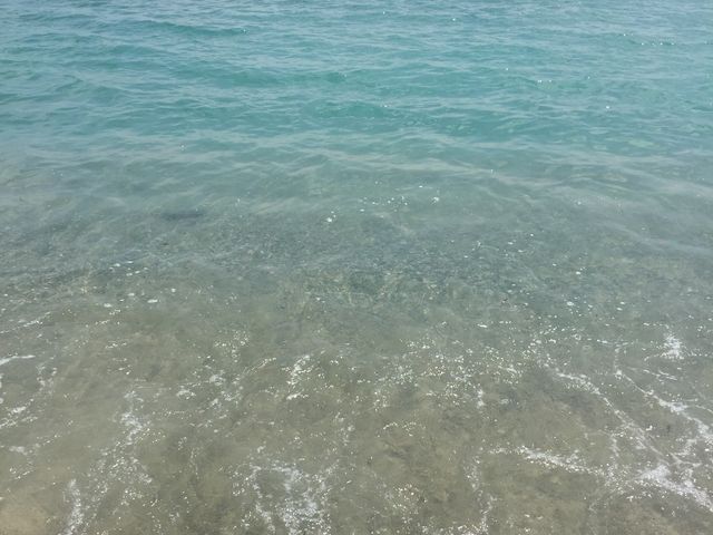 ς炿񂳂̘eC̓eʐ^2