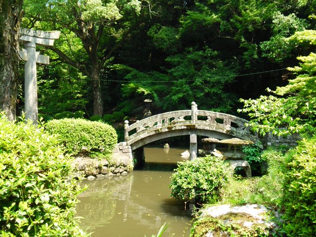 �匴�����{���ۋ�_�匴�����{