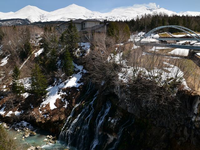 ���r���炷���߂��ɂ����B����̐�R���Y��ł��B_���Ђ��̑�