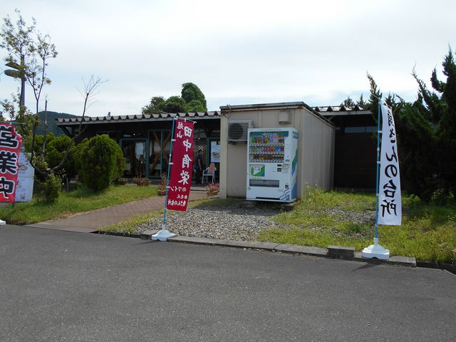 ̊֌WśʂŎ_p̑䏊